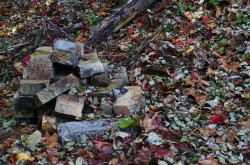 古いレンガ片と落ち葉（屋外）