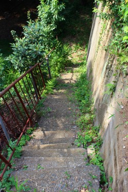 階段（屋外）