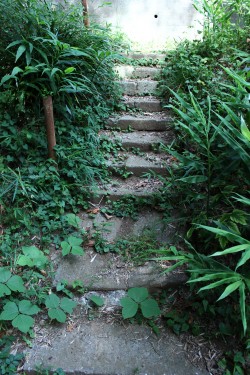階段（屋外）