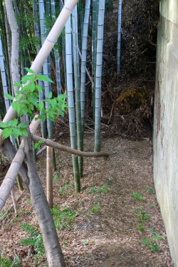 ＲＣ壁（屋外）