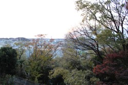 多目的スタジオ（白廃墟風エリア）