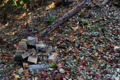 屋外ロケ（別オプション）